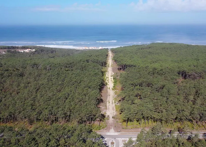 Vale Brisa - By Sch - P * Nazaré